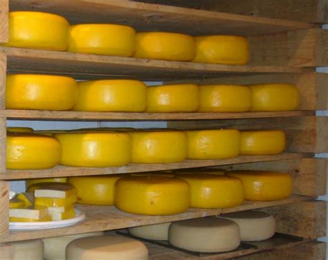 Swissland cheese - The natural splendour of the Natal Midlands is combined with the enticing allure of Switzerland on the Swissland Cheese Farm. Situated in Balgowan, KwaZulu-Natal, Swissland is all about fantastic cheeses …